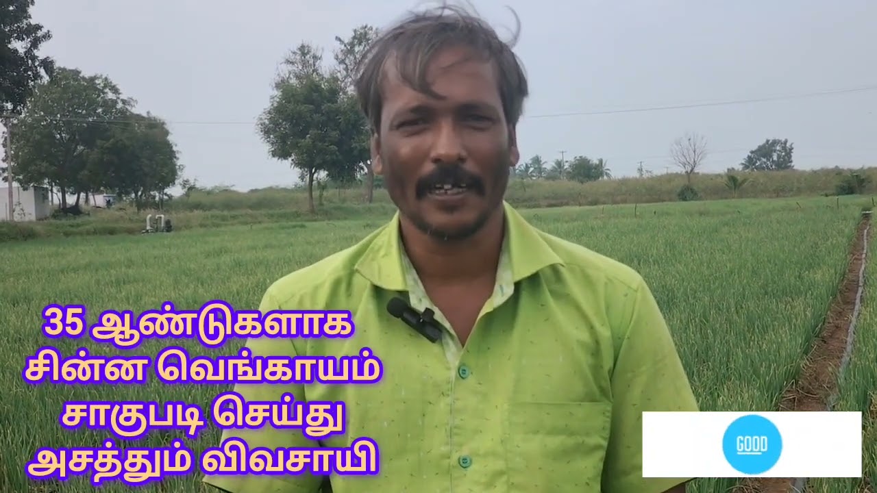 35 ஆண்டுகளாக சின்ன வெங்காயம் சாகுபடி செய்து அசத்தும் விவசாயி முறையாக பராமரிப்பு செய்தால்