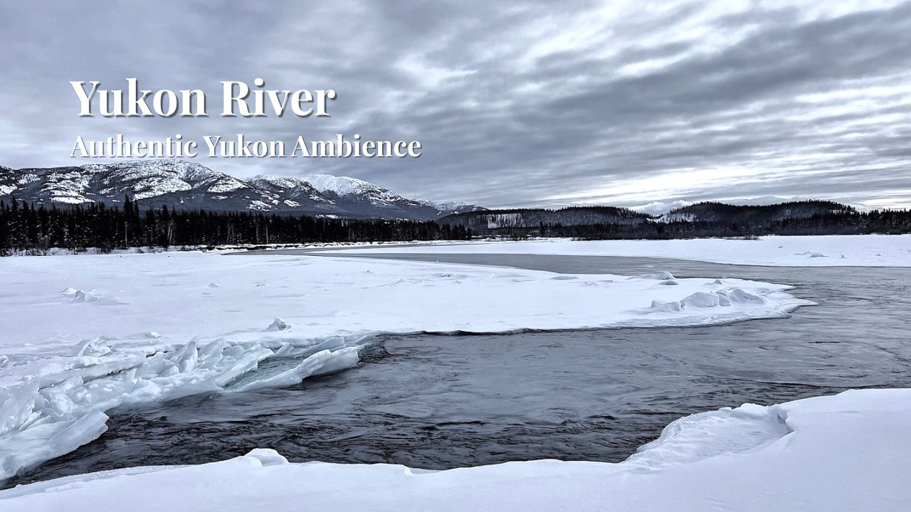 Nordic Calm | Soft River Sounds & Light Snowfall - Yukon River at -20°C