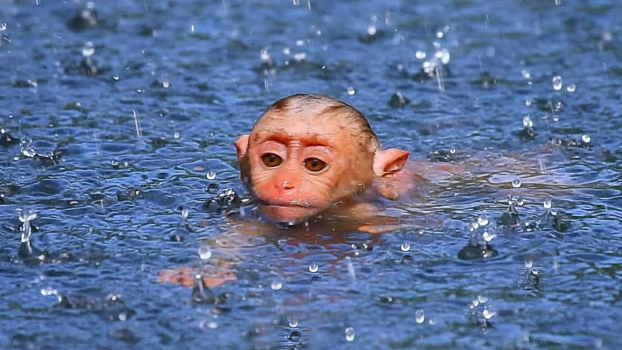 Sweet baby dares to swims alone across big pool towards his mother