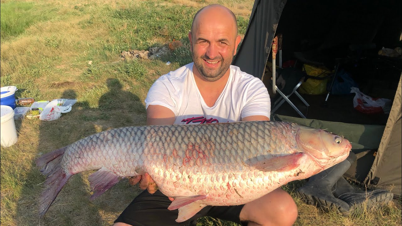 Щербани Амур 10кг (?!)🎣👍😉С корабликом Рыбалка 🎣👍супер!!!