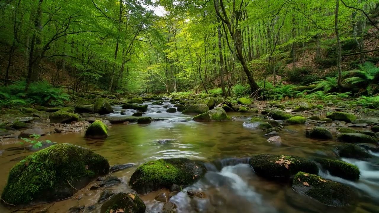 Melt AWAY Stress & Anxiety: 8 HOURS of HEALING Deep Sleep Music | Ultimate Rain Sounds for Insomnia