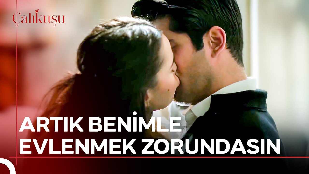 Dudakların Diyorum Ne Çok Yakıştı Dudaklarıma 💋 | Çalıkuşu