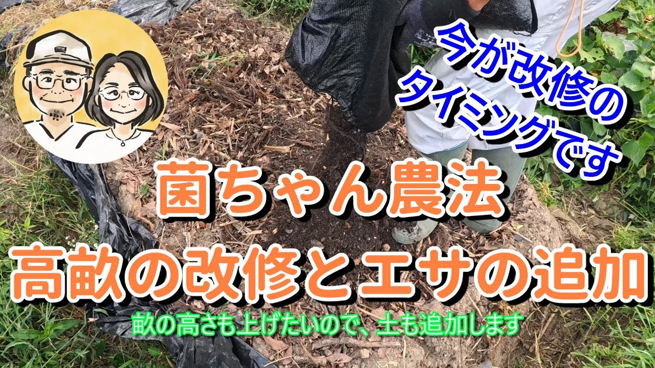 菌ちゃん農法　高畝の改修とエサの追加　冬野菜の植付けに向け６つのステップで改修できます。特に初年度の場合や肥料切れの症状が出た畝に足りない物を追加しておけば、これから安心です。