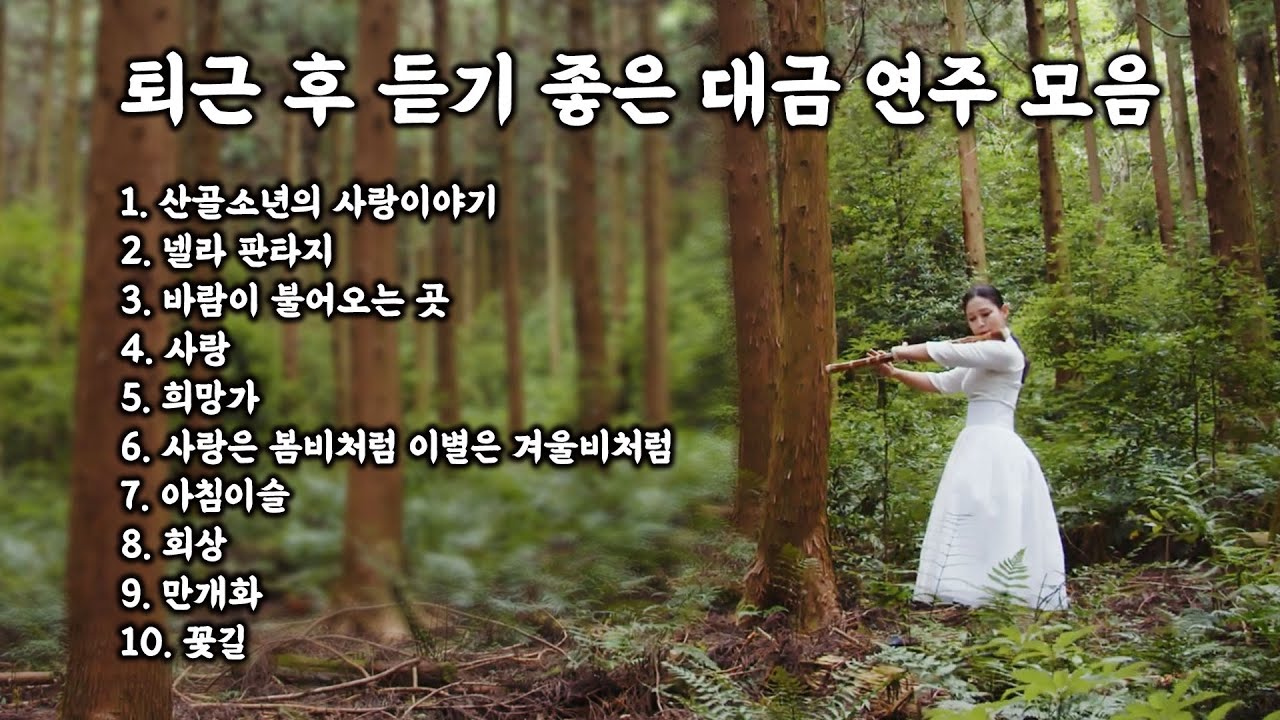 [Playlist] 퇴근 후 듣기 좋은 대금 연주 모음