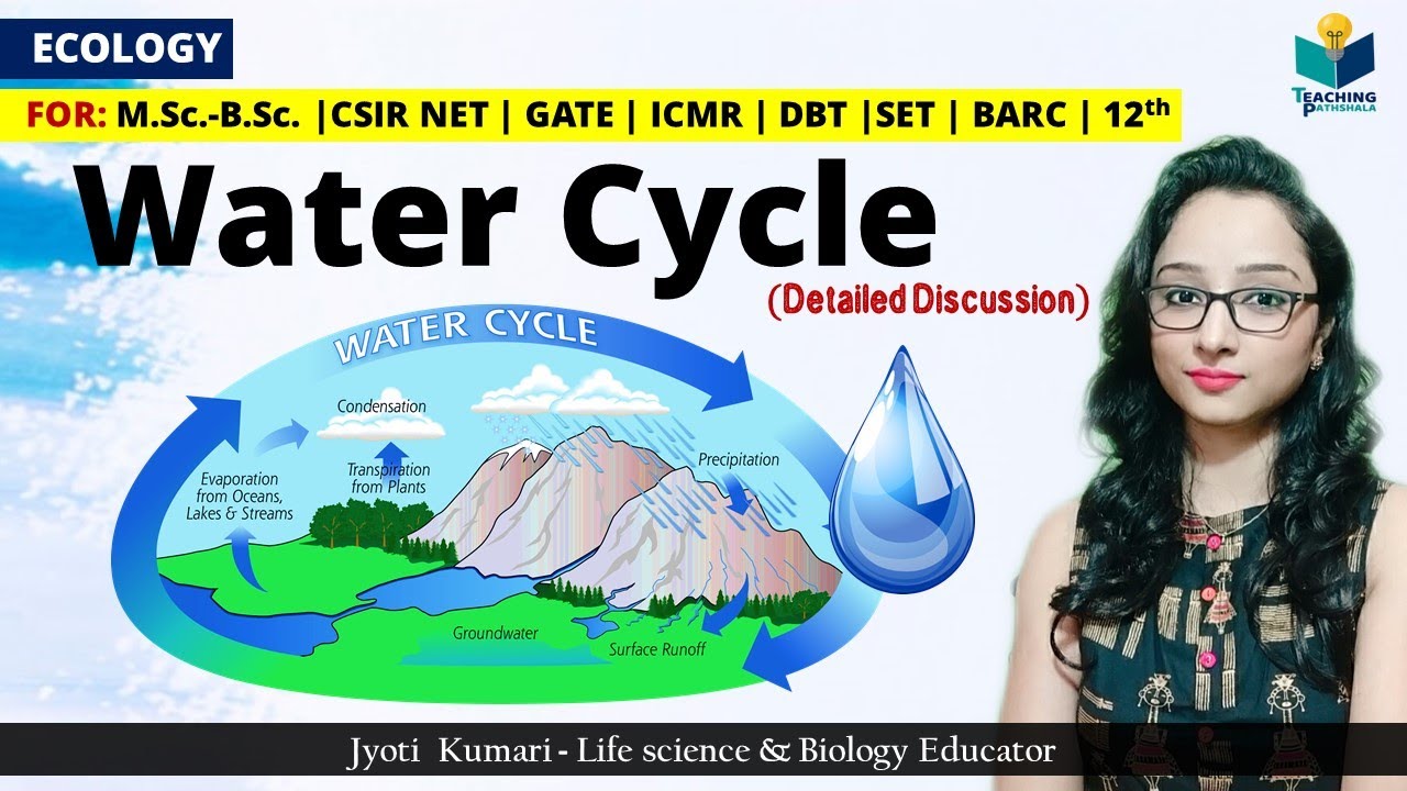 WATER CYCLE (In Hindi) || Biogeochemical Cycle || Ecology || Teaching Pathshala