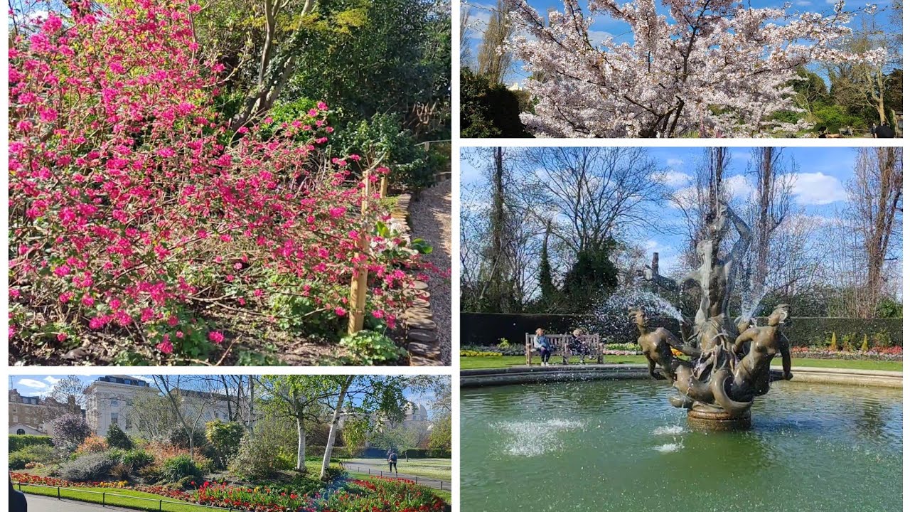 Royal Regents Park spring blossom and bloom