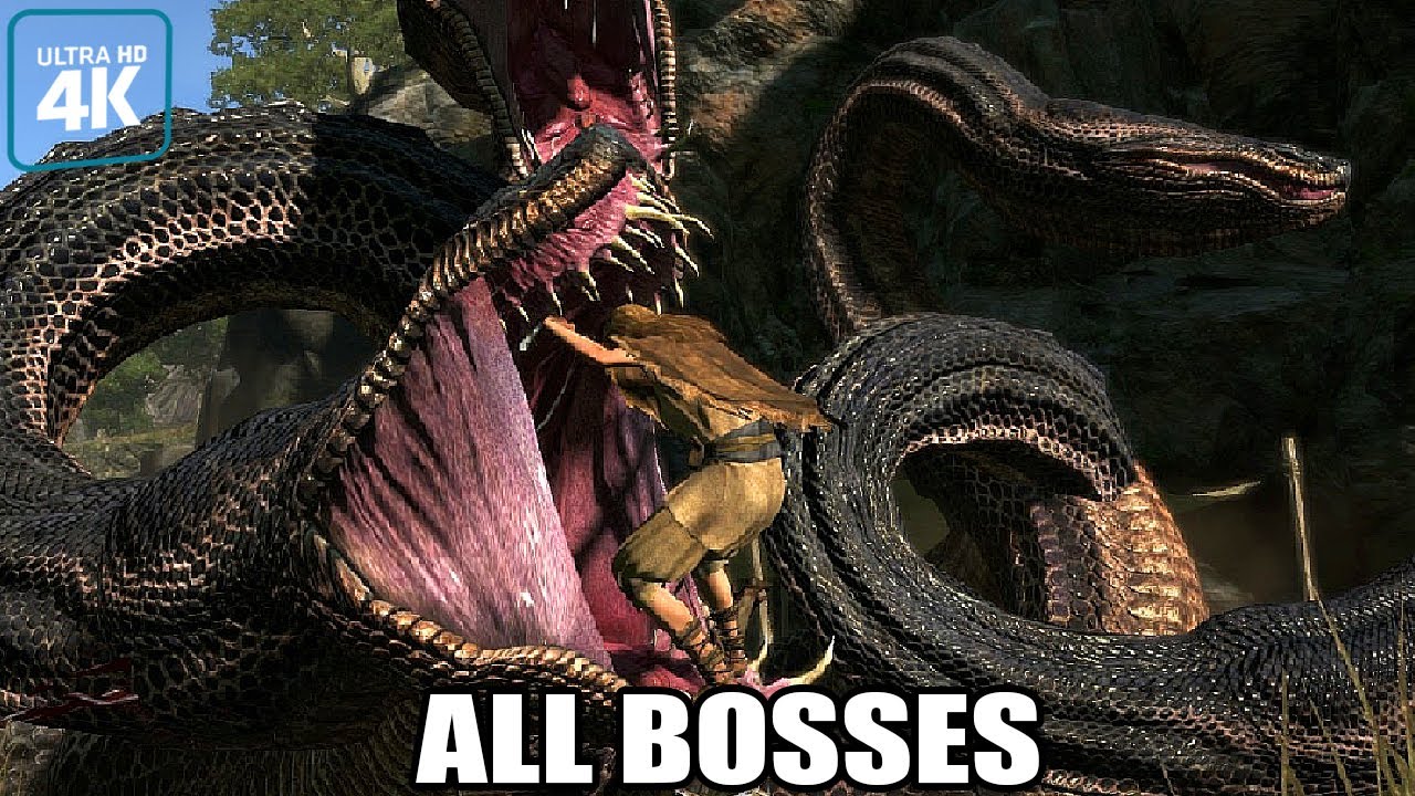 Dragon's Dogma - All Bosses + True Ending (With Cutscenes) 4K 60FPS UHD PC