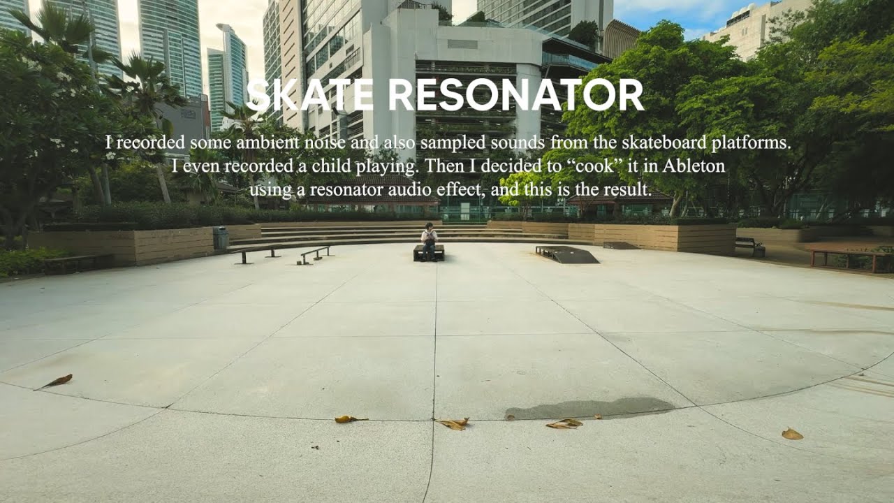 Skate Resonator | MESKRUP