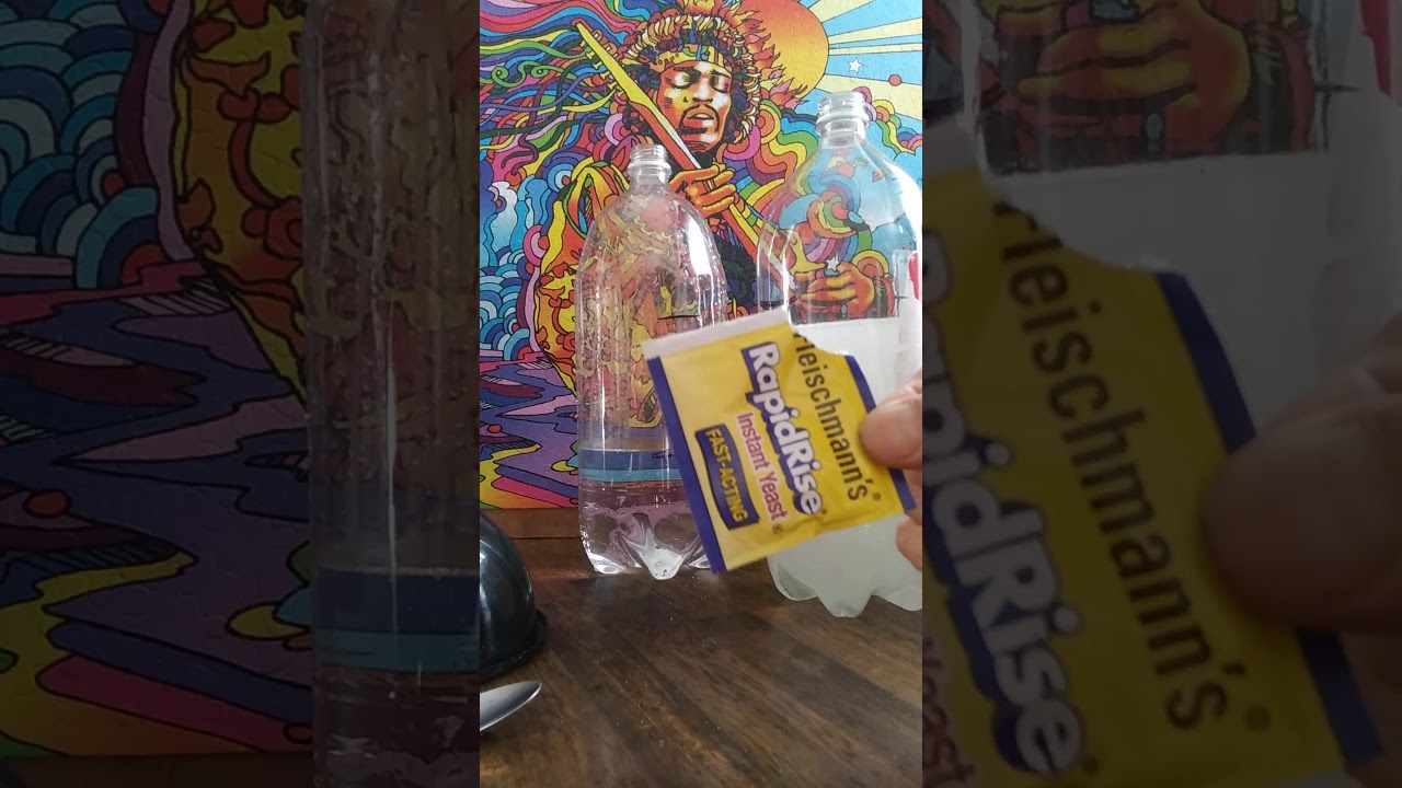 How to Make C02 for your grow room the easiest most inexpensive way!! ✌ and growers 💘