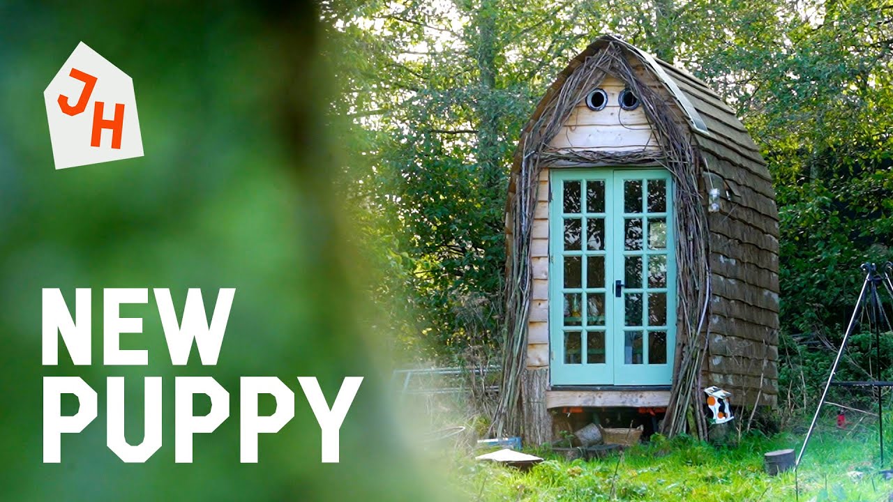 My Tiny House CABIN Tour | One Man and His New Muddy Puppy