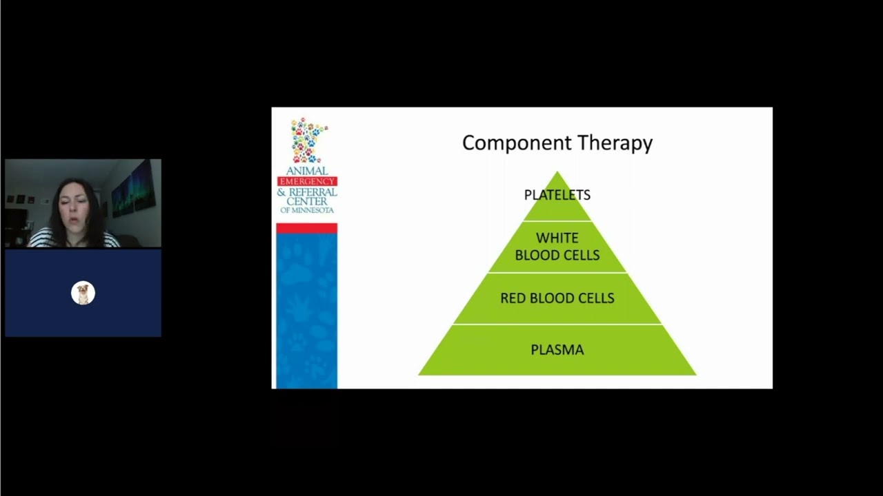 The 5 W's and H of Veterinary Transfusion Medicine