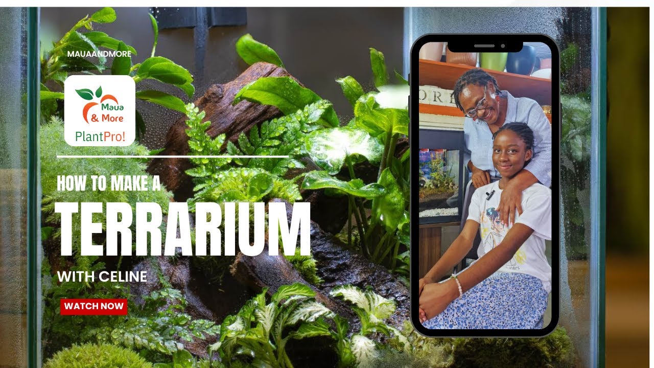 How to Make a Terrarium l PlantPro! With Celine 