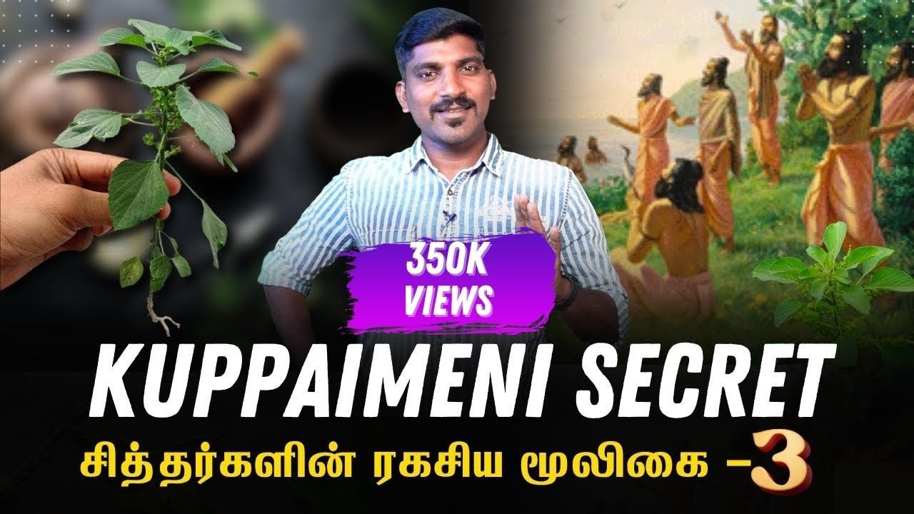 சித்தர்களின் 2 அடி மூலிகை ரகசியம் | பெண்களின் மீசை காலி | குப்பைமேனி | Kuppaimeni Benefits | Tamil
