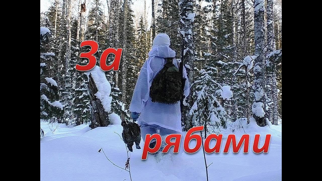 22lr / ОХОТА НА РЯБЧИКА,зима.