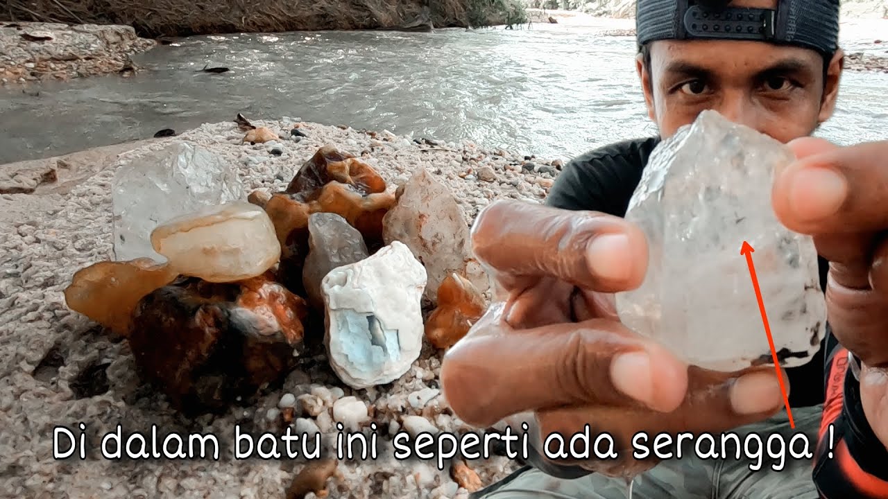 AJAIB !!menemukan batu kristal berisi serangga dari zaman purba !!