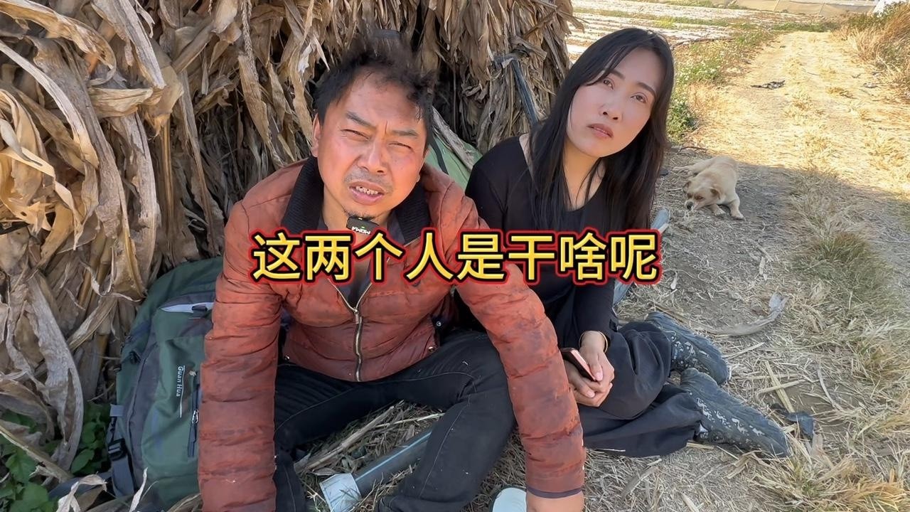 你带着人家是干嘛的 为啥不让人家回家在外流浪 #徒步西藏