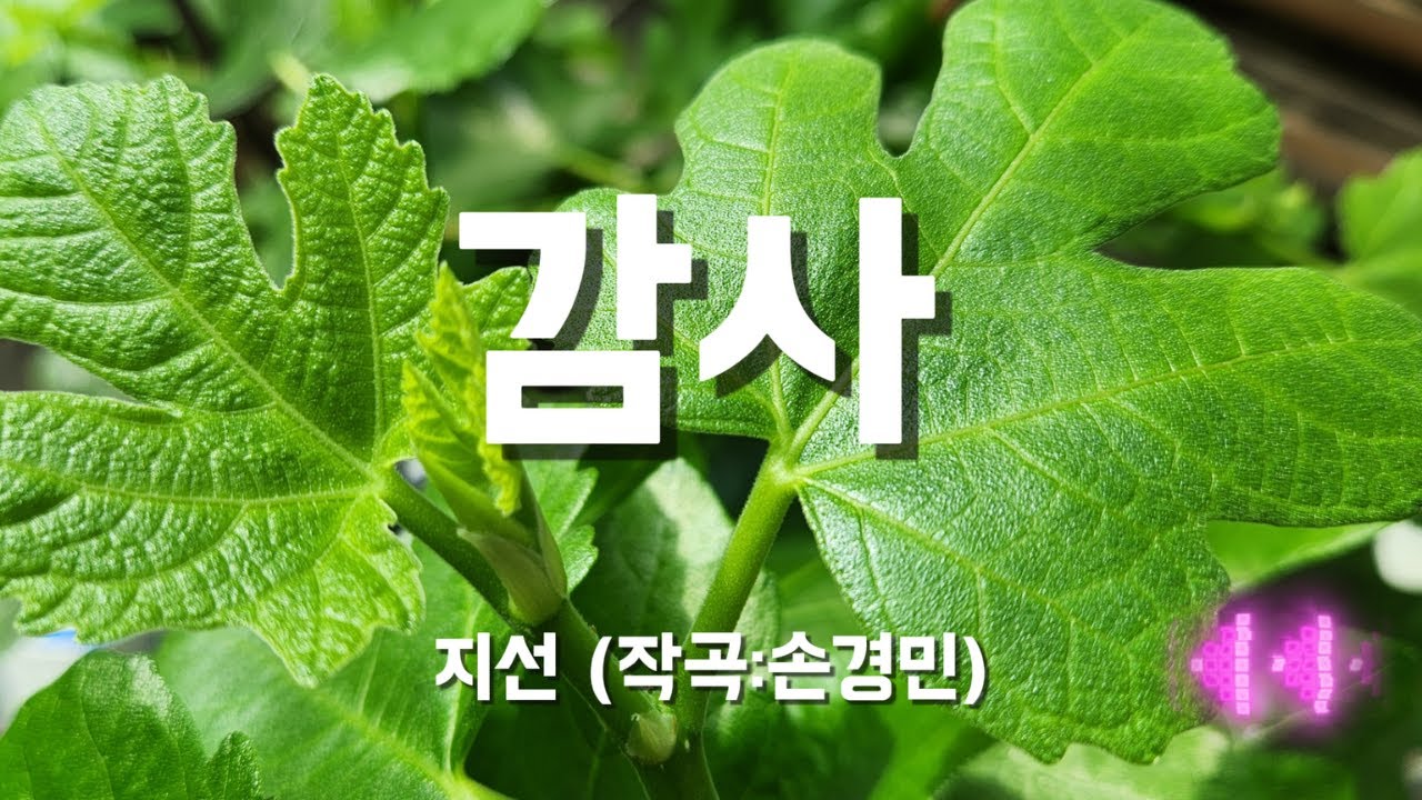 감사 / Thanks, 아이빅밴드(IBIG BAND), 지선(JI SUN) / 손경민 작곡 *photo-mk