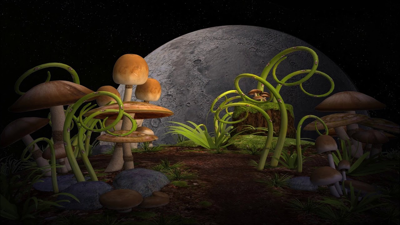 Infected Mushroom - Classical Mushroom
