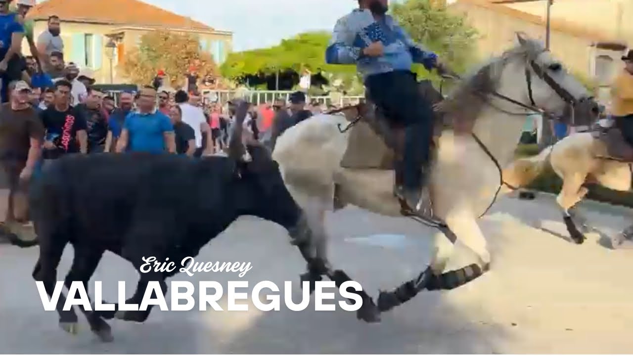 EN DIRECT festival de bandido de taureaux neuf Vallabregues le 17 juin 2024