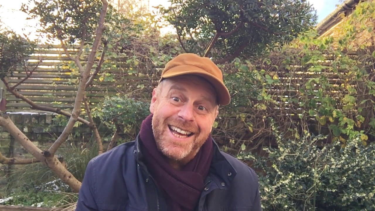 Donate: London Road Tree Planting Appeal - Horniman Museum and Gardens