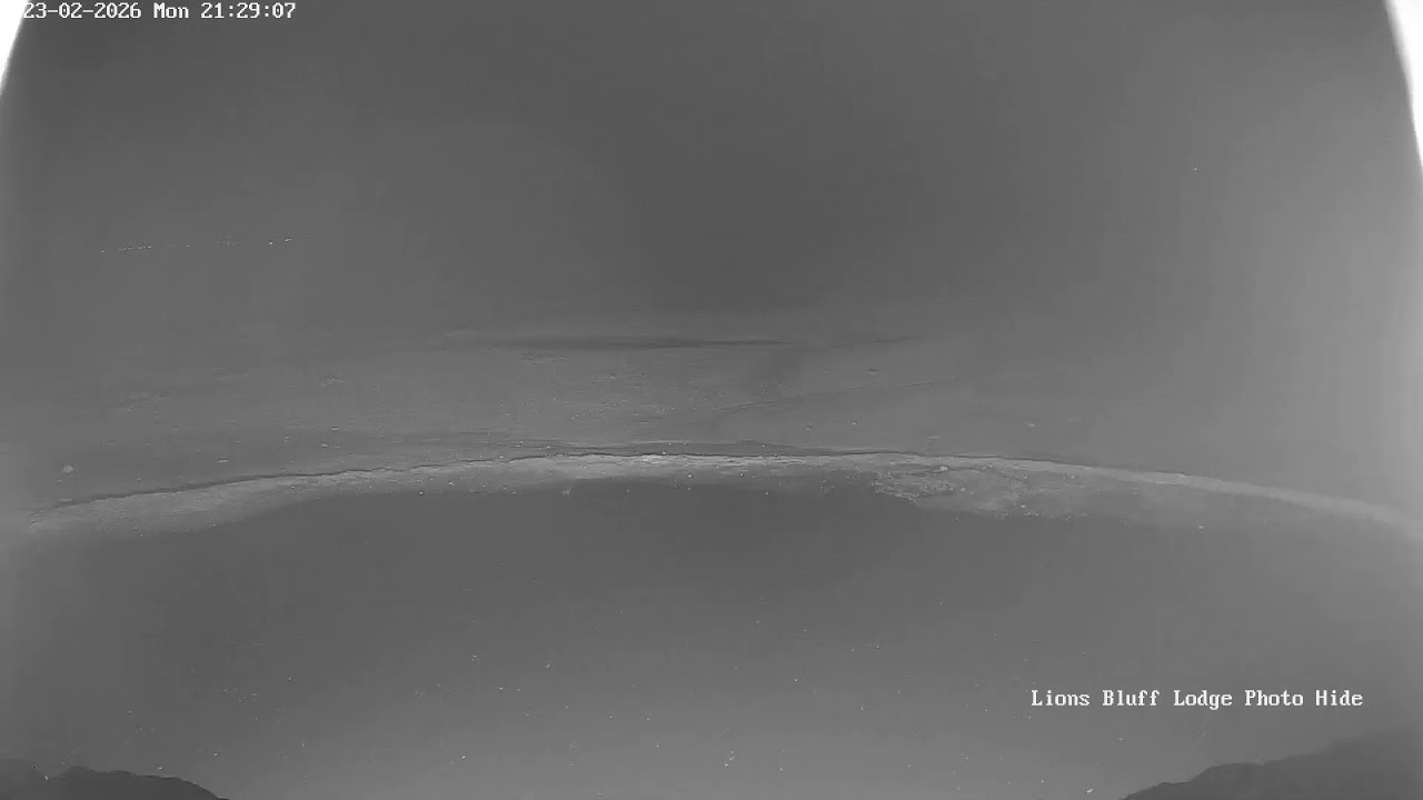 Lions Bluff Lodge Photo Hide - Live Stream