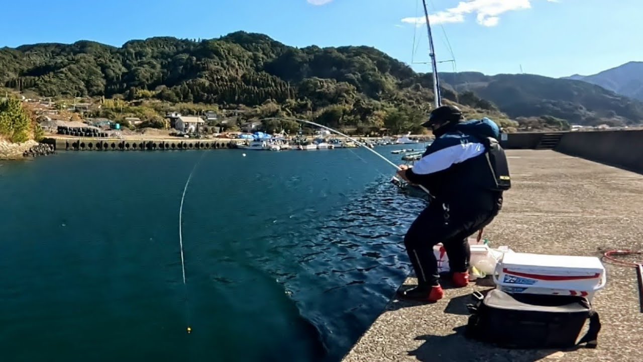 漁港でとんでもないサイズのグレが連発‼【グレふかせ釣り】