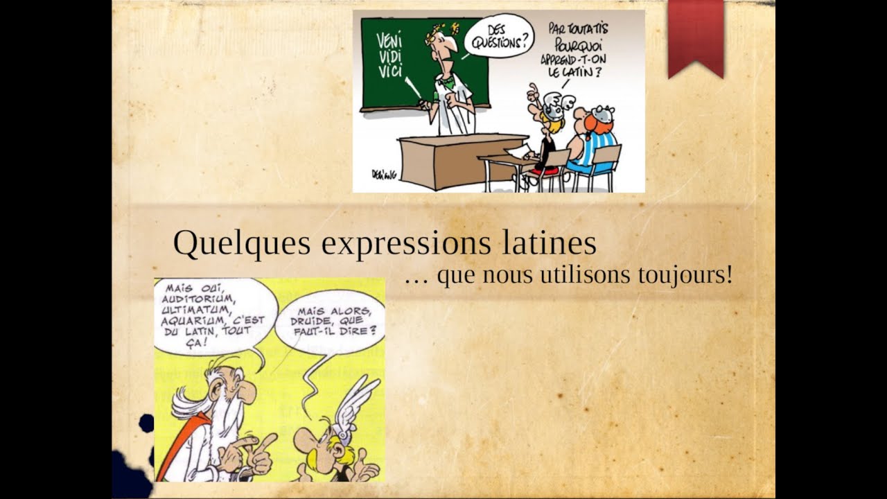 10 expressions latines encore utilisées de nos jours