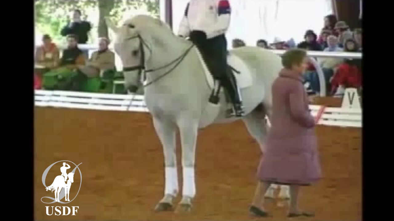 USDF 1996 National Symposium: Rider Position