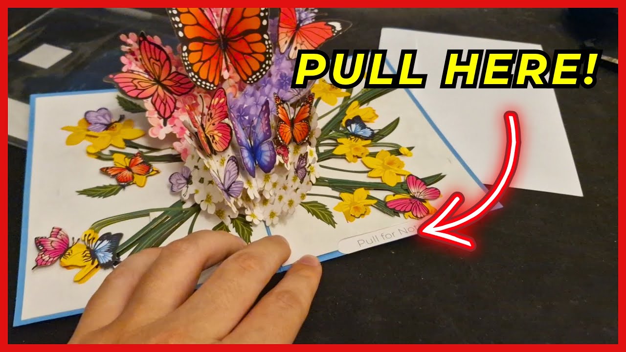 Hartensteler Butterflies in Nature Pop Up Card - 3D Butterfly Card for Wife, Girlfriend, Mom