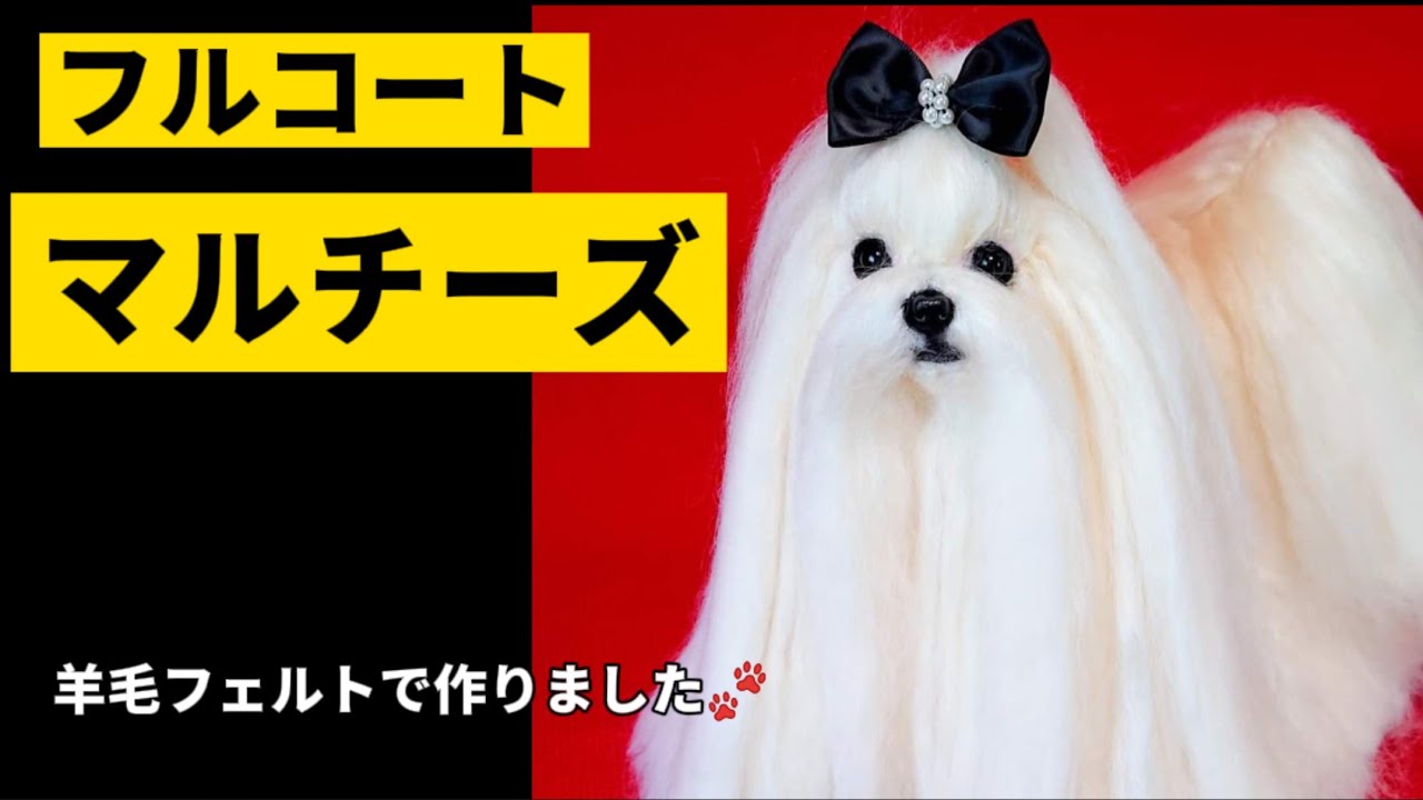 【憧れのフルコート作成！！】羊毛フェルト　マルチーズのマルちゃん完成