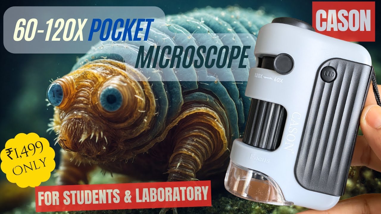 Cason Pocket Microscope 60X-120X, LED Lighted Mini Microscope for Kids, Students, and Laboratory Use