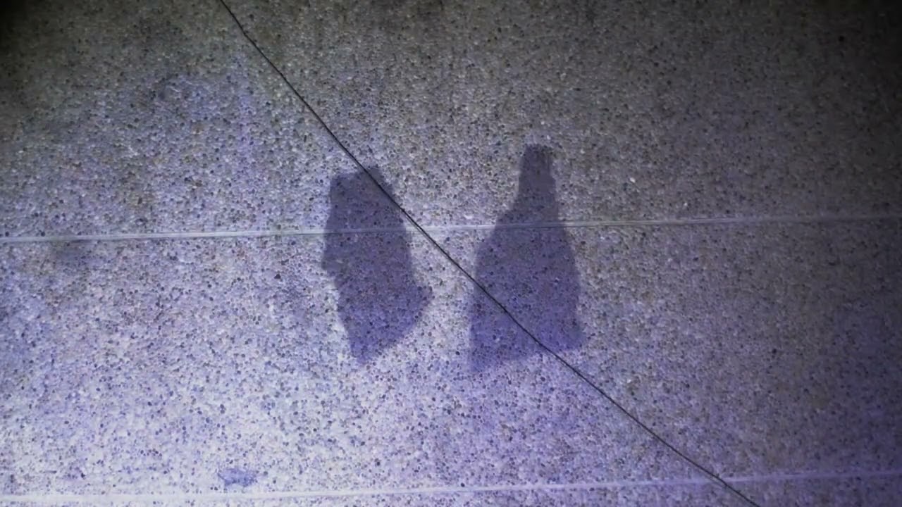Taipei Alley (2024)