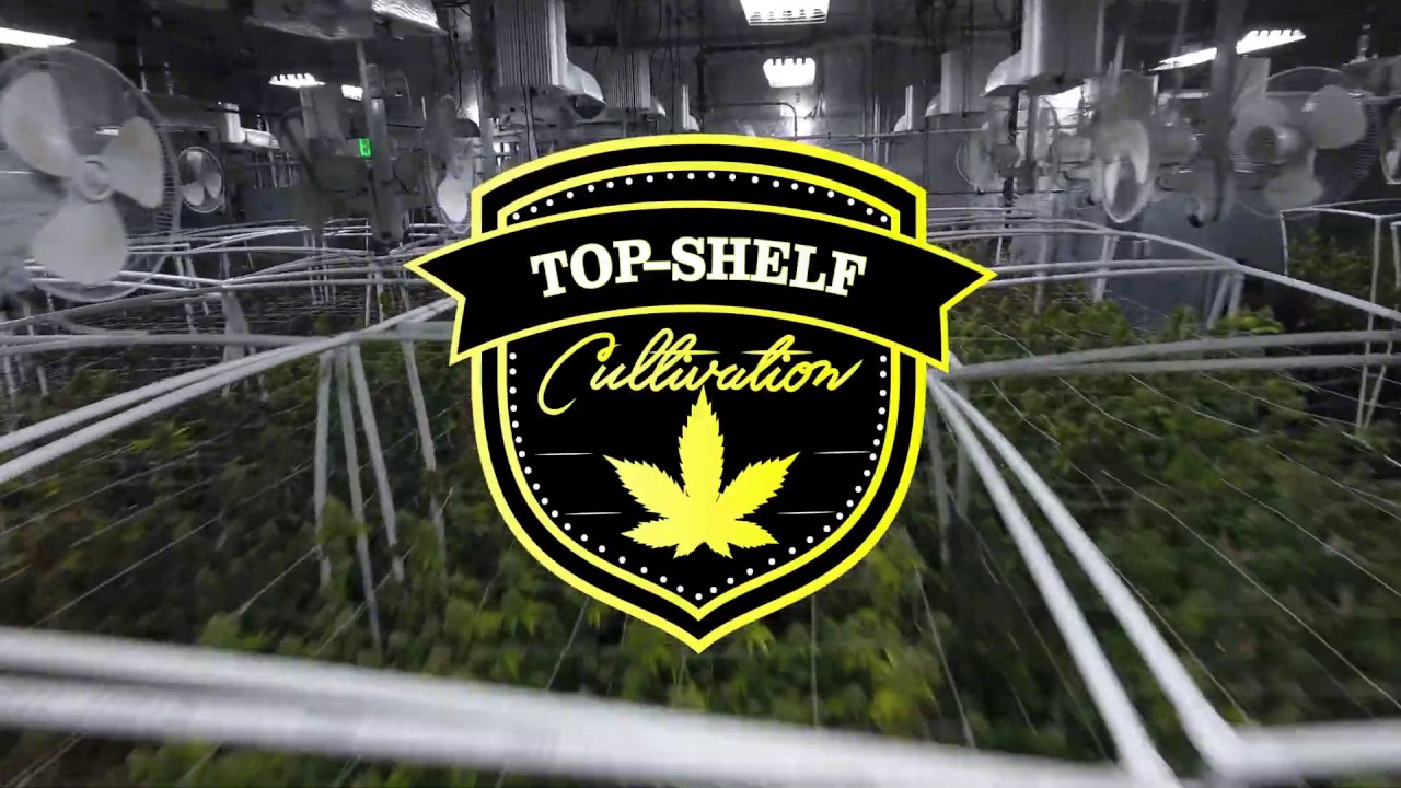 Cruise Over The Canopy - Top Shelf Cultivation