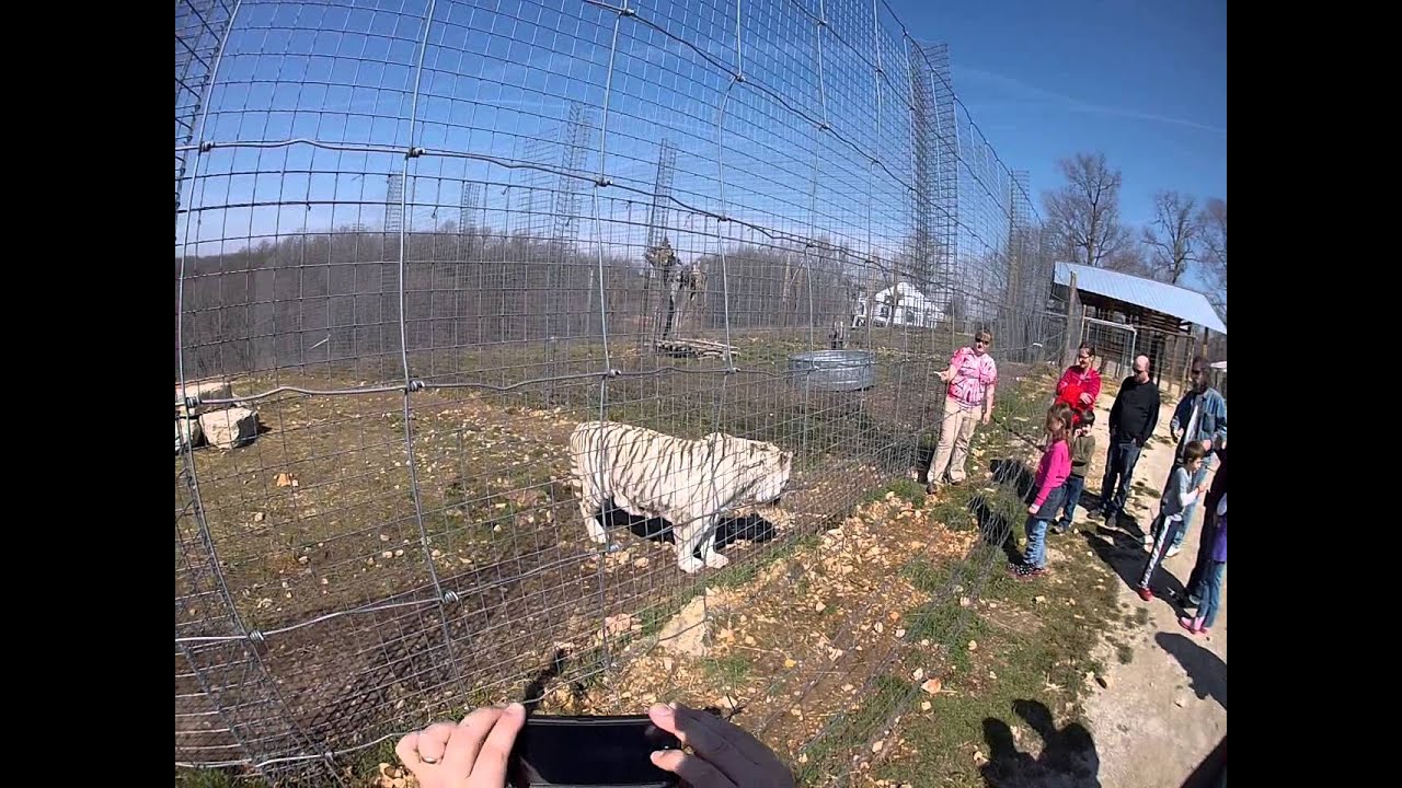 National Tiger Sanctuary 03.09.2013 (13)