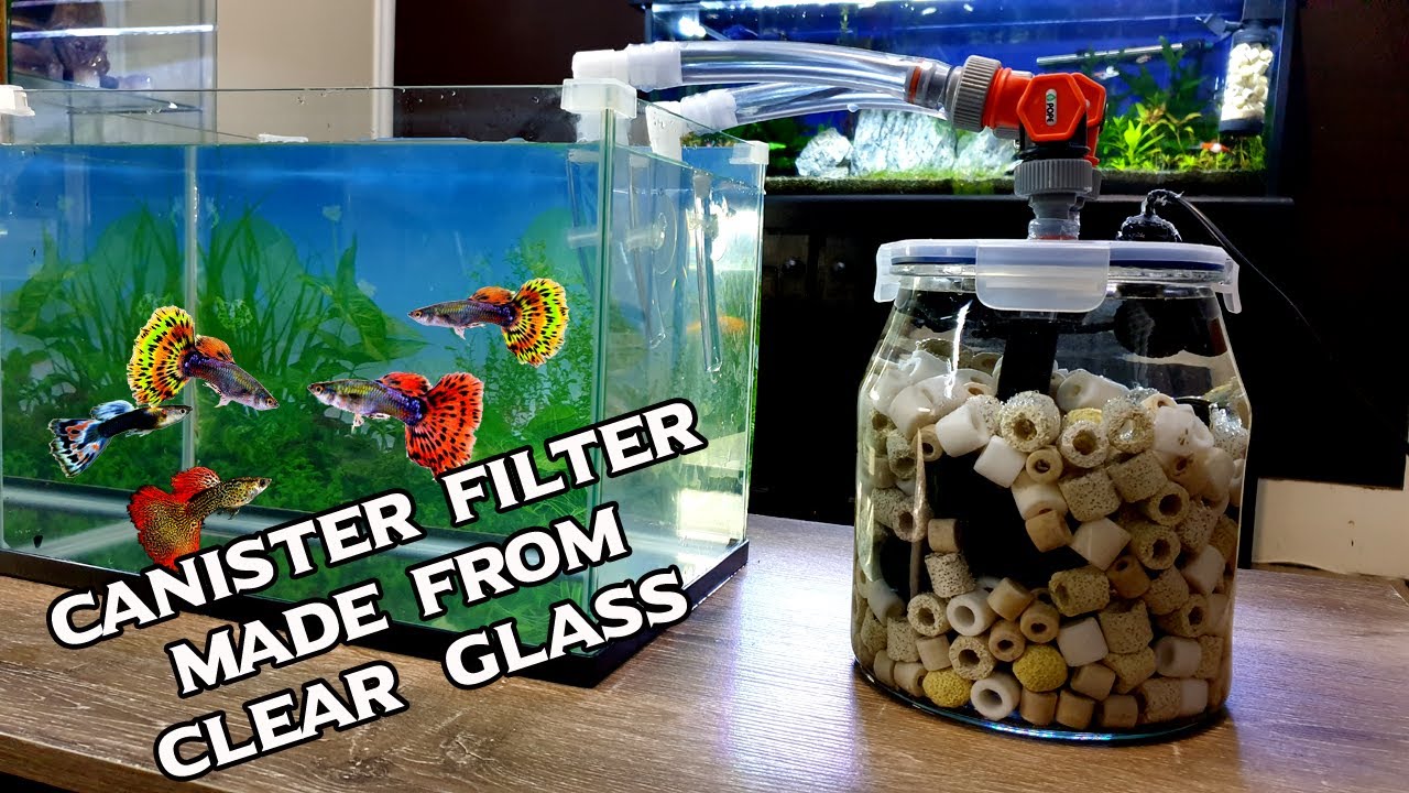 I built a Canister Filter from Clear Glass Jar