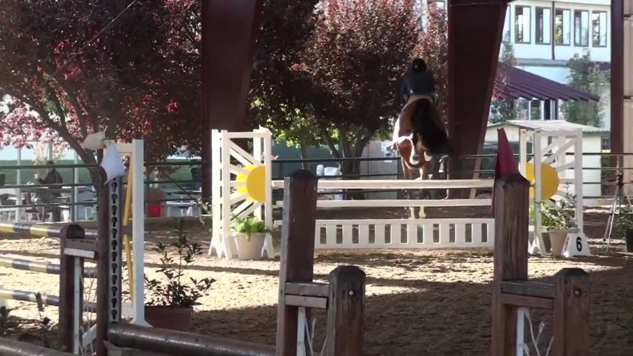 Bella Donna F & Corrie Castellanos 1.05m Jumpers Sacramento International 2012