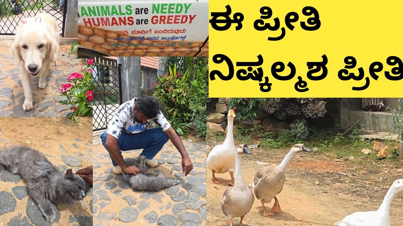 ಪ್ರಾಣಿಗಳೇ ಗುಣದಲಿ ಮೇಲು ಮಾನವನದಕ್ಕಿಂತ ಕೀಳು... ಉಪಕಾರವ ಮಾಡಲಾರ ಮಾಡಿದರೆ ಸಹಿಸಲಾರ 