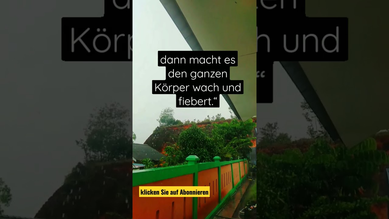 Motivation#Lebensmotivation#Islamische Lebensmotivation#Hadith#Ziti#weise Worte#shorts#dakwahsingkat