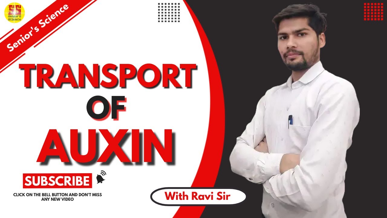 Transport of Auxin || Plant Growth Hormones
