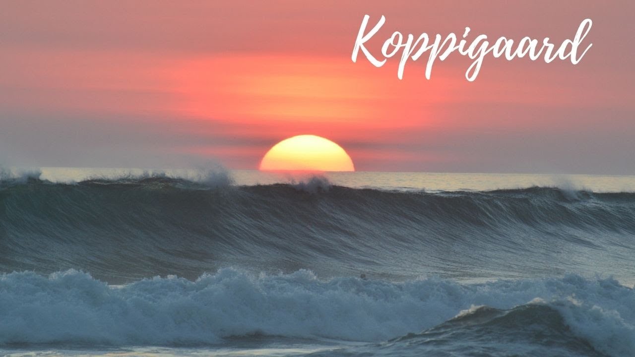 Koppigaard - Algemene Tarot Reading
