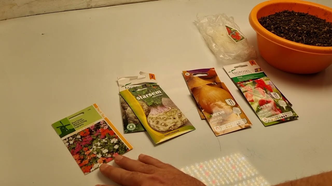 Hagyma, chilli paprika, zeller vetése - Most fogj hozzá!