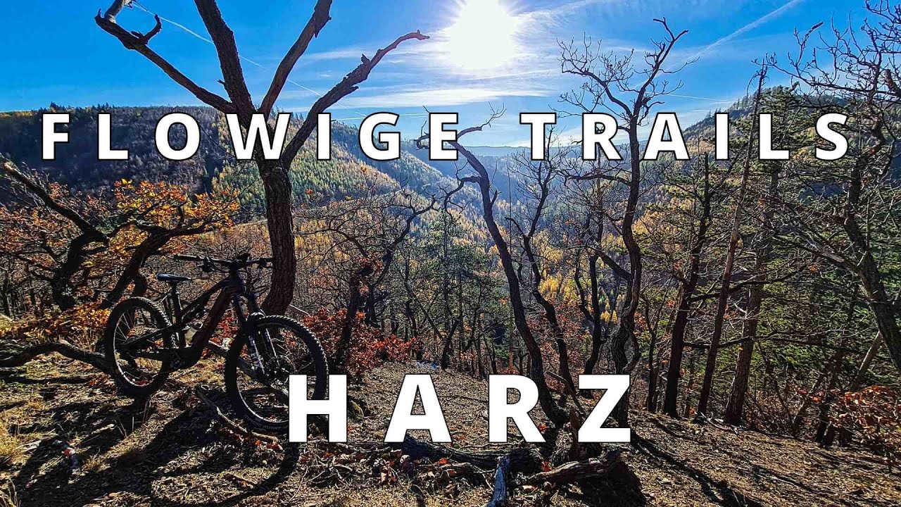 Flowige Trails im Harz  S1 - S2
