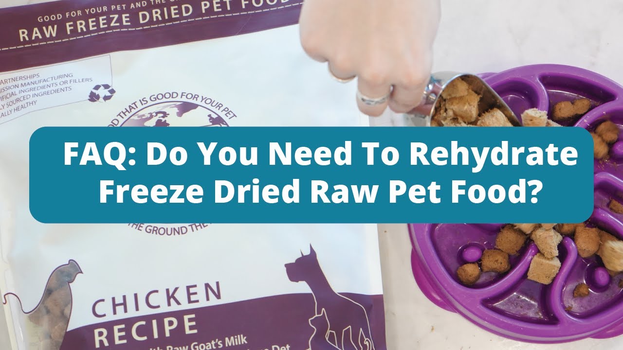 Do You Need To Rehydrate Freeze Dried Raw Pet Food? - Steve's Real Food