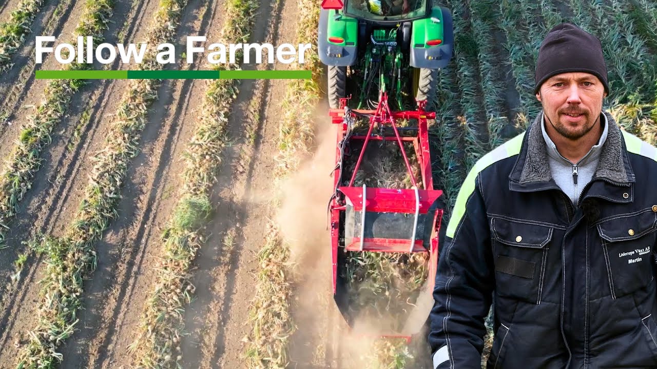 Fryser spillpotatisen sönder? 🤔 - Follow a Farmer, Martin Andersson S3:E8