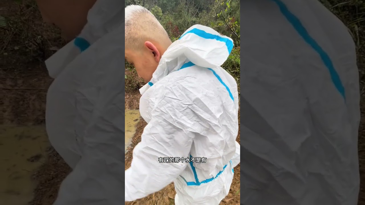 我们的第三个神仙农场，开局就是王炸&hellip;&hellip; 我的农场生活 农场日记 跑山猪原生态 自繁自养 乡村创业故事