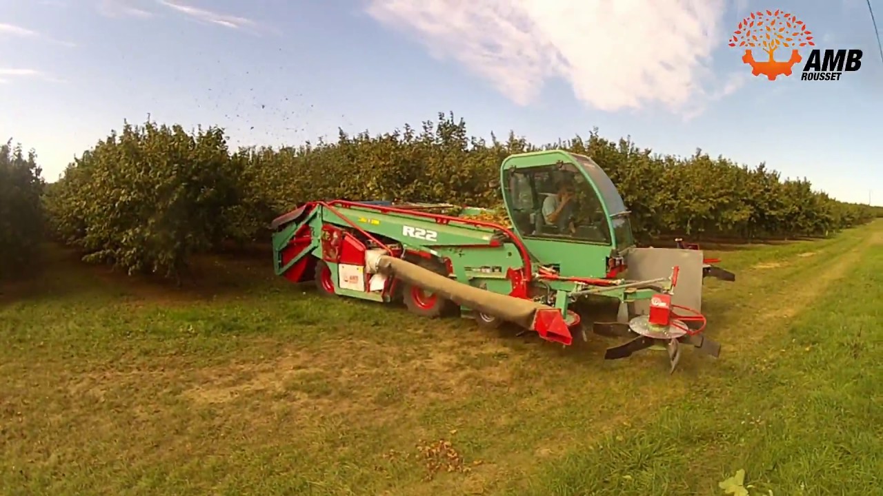 R22 ramasseuse pour noisette, R22 hazelnuts harvester, R22 cosecadora para avellanas  AMB ROUSSET