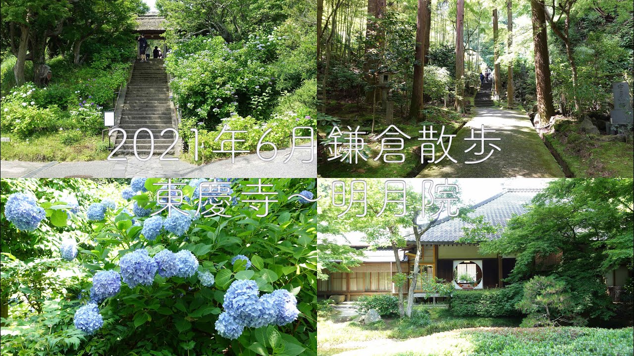 2021年6月鎌倉散歩　東慶寺〜明月院【4K】
