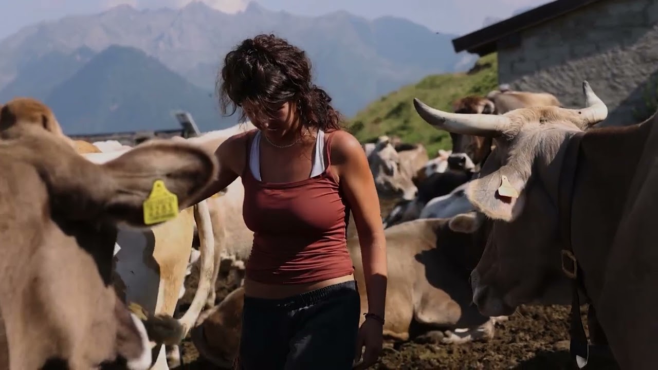 Bitto DOP - il tempo, la montagna, l'uomo