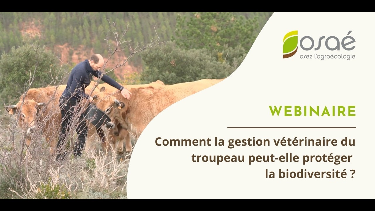 Webinaire - Comment la gestion vétérinaire du troupeau peut-elle protéger la biodiversité ?