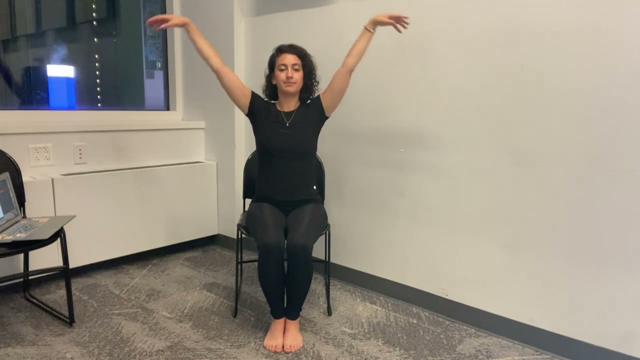 Full Seated Ballet Class